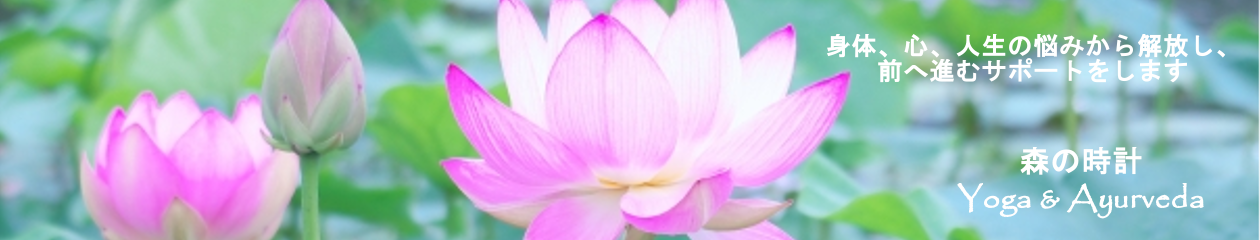 ヨガ・アーユルヴェーダライフ＠ 横浜