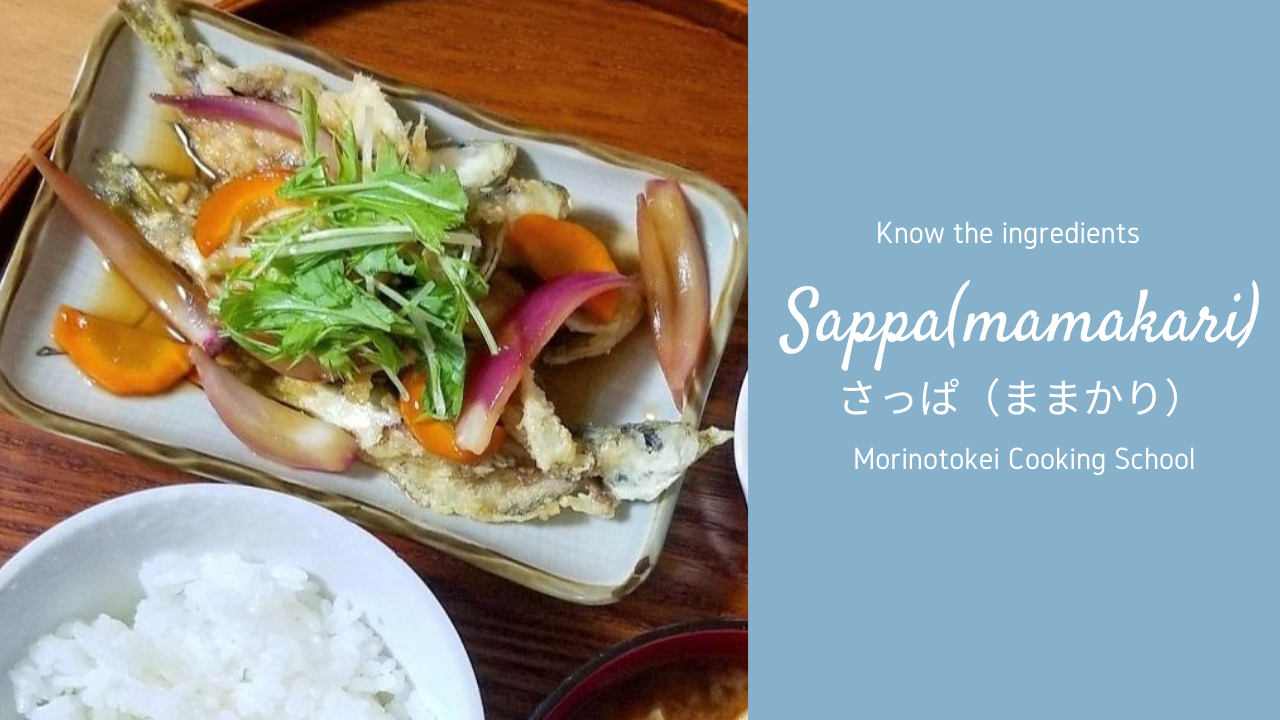 さっぱの基礎知識