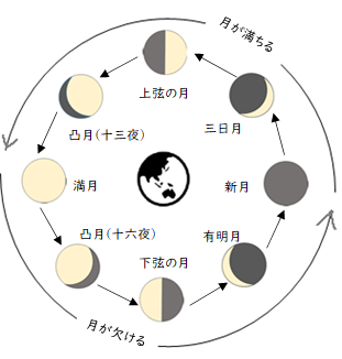 月のサイクル